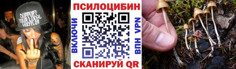 Псилоцибиновые грибы Psilocybine cubensis  blacksprut ONION  Далматово 